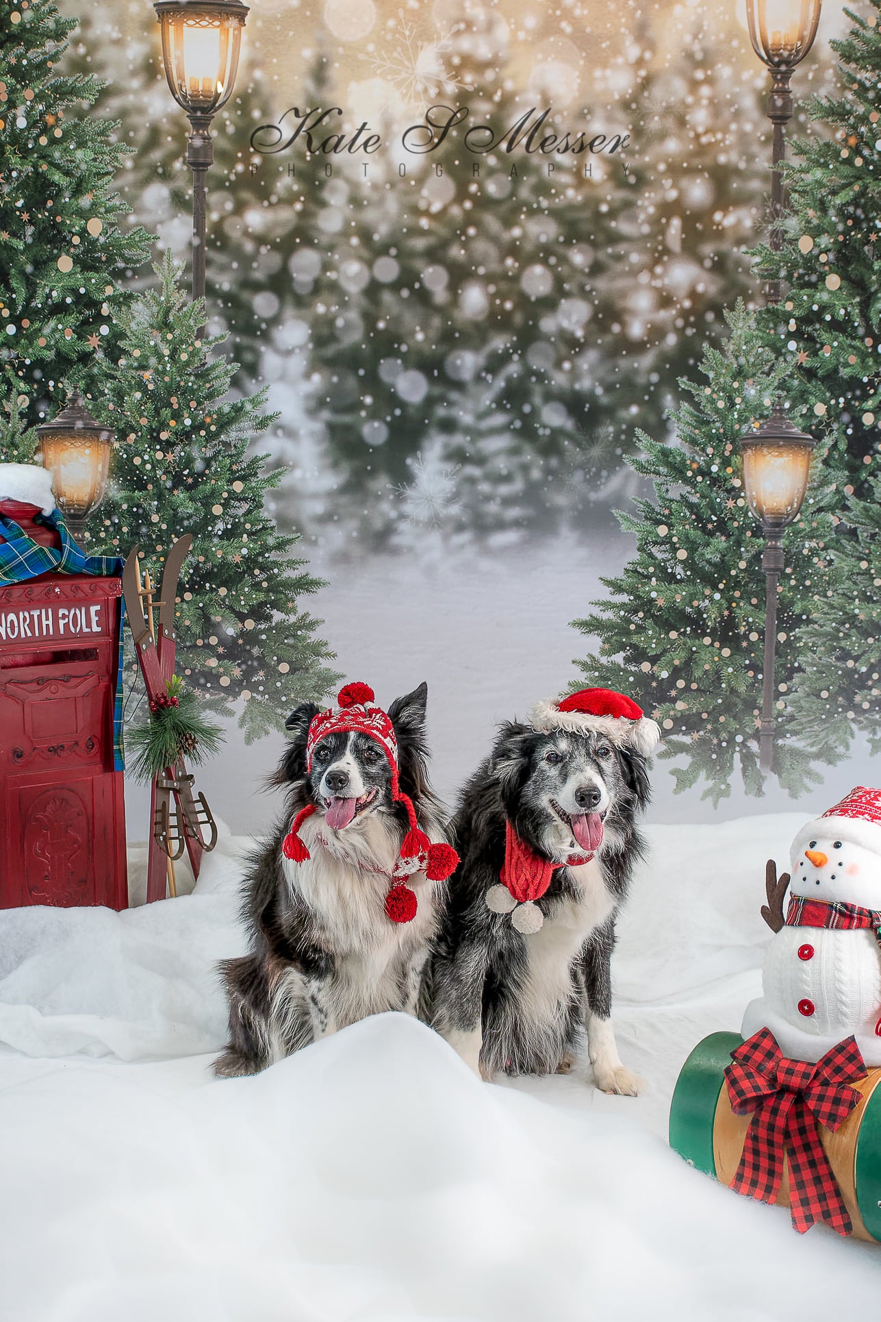 Kate Christmas Snow Forest Lights Backdrop for Photography -UK