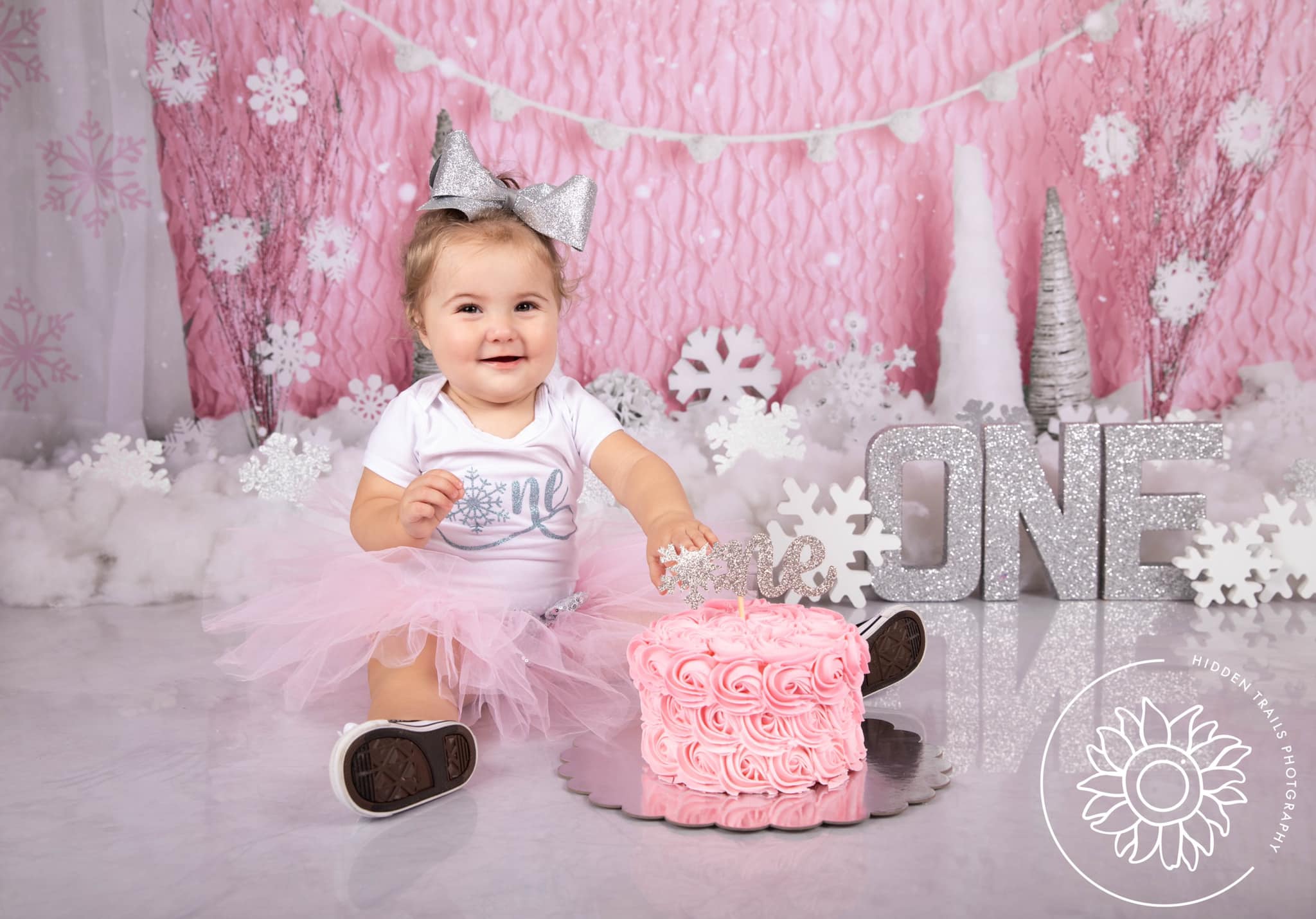 Kate Birthday Pink Winter Onederland Girly Backdrop Designed By Mandy Ringe Photography -UK