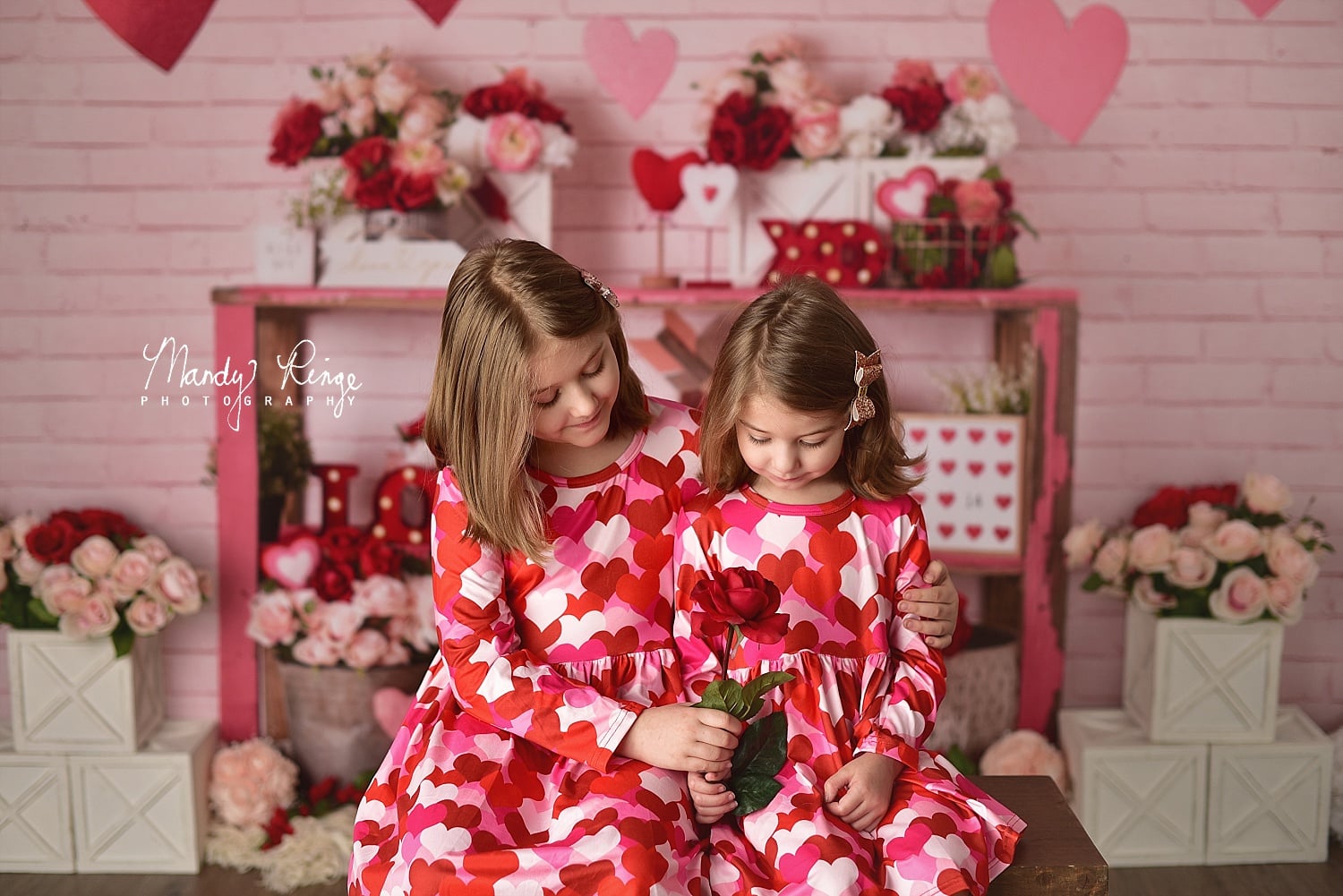 Kate Valentine's Day Love Heart Backdrop Designed by Mandy Ringe Photography