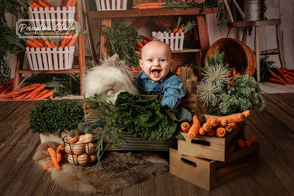 Kate Spring\Easter Carrots Children Backdrop Designed By Mandy Ringe Photography -UK