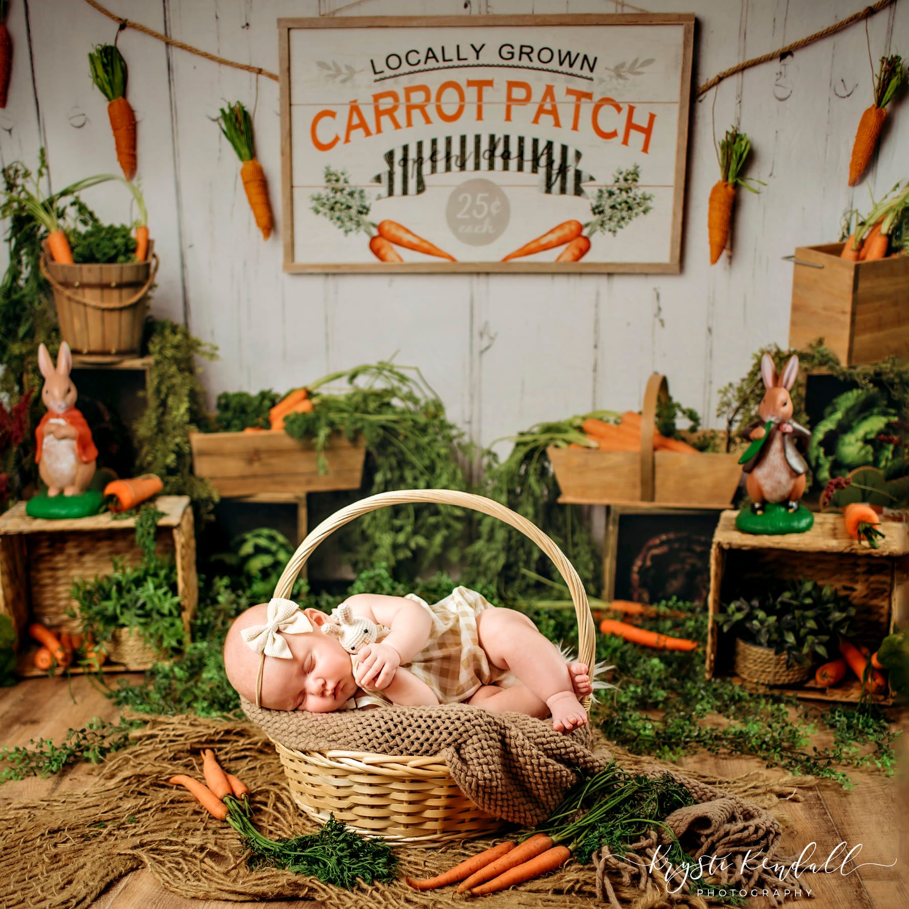 Kate Carrot Patch Easter Backdrop Designed by Megan Leigh Photography -UK