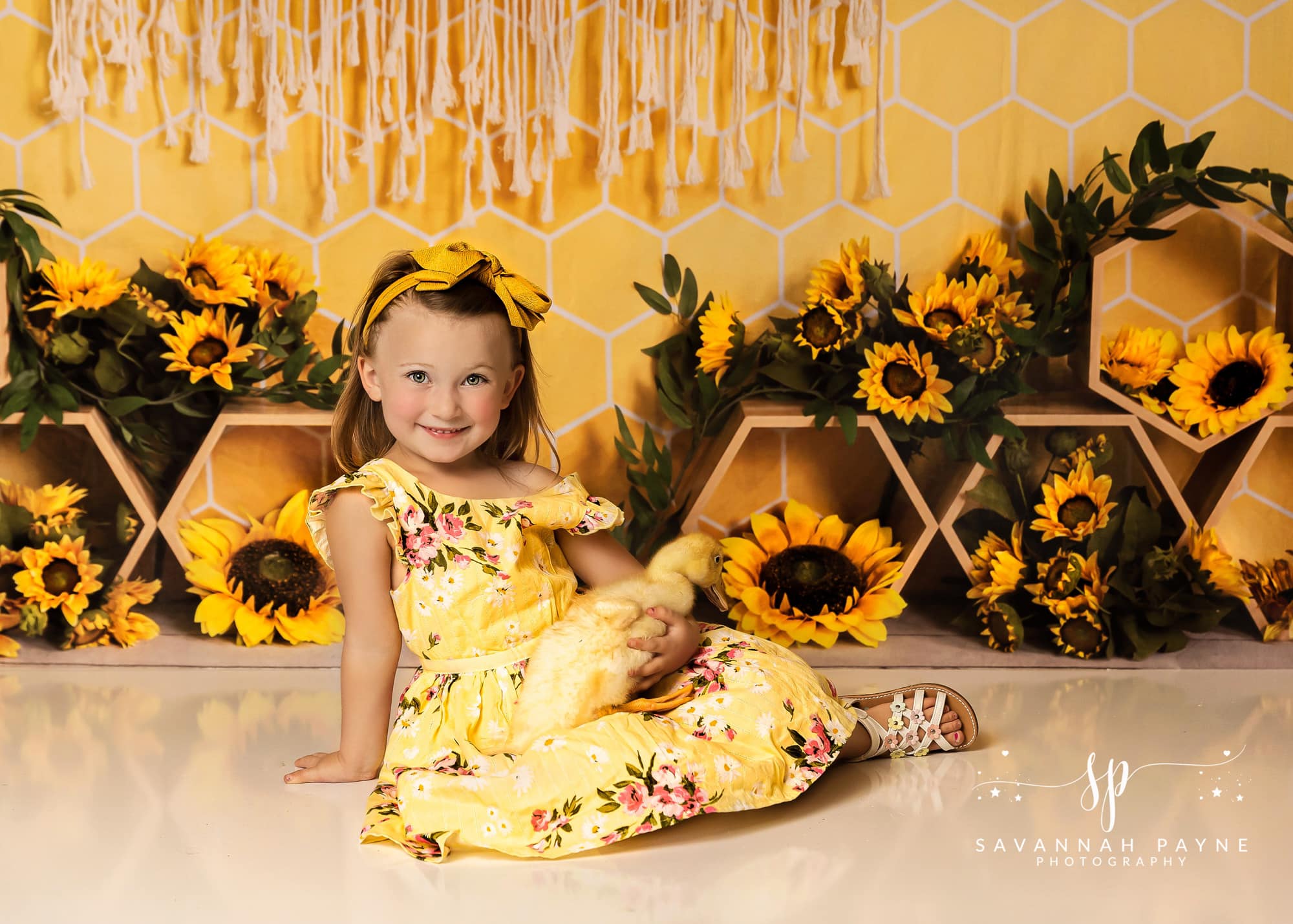 Kate Honeycomb Yellow Boho Cake Smash Backdrop Designed by Emetselch -UK