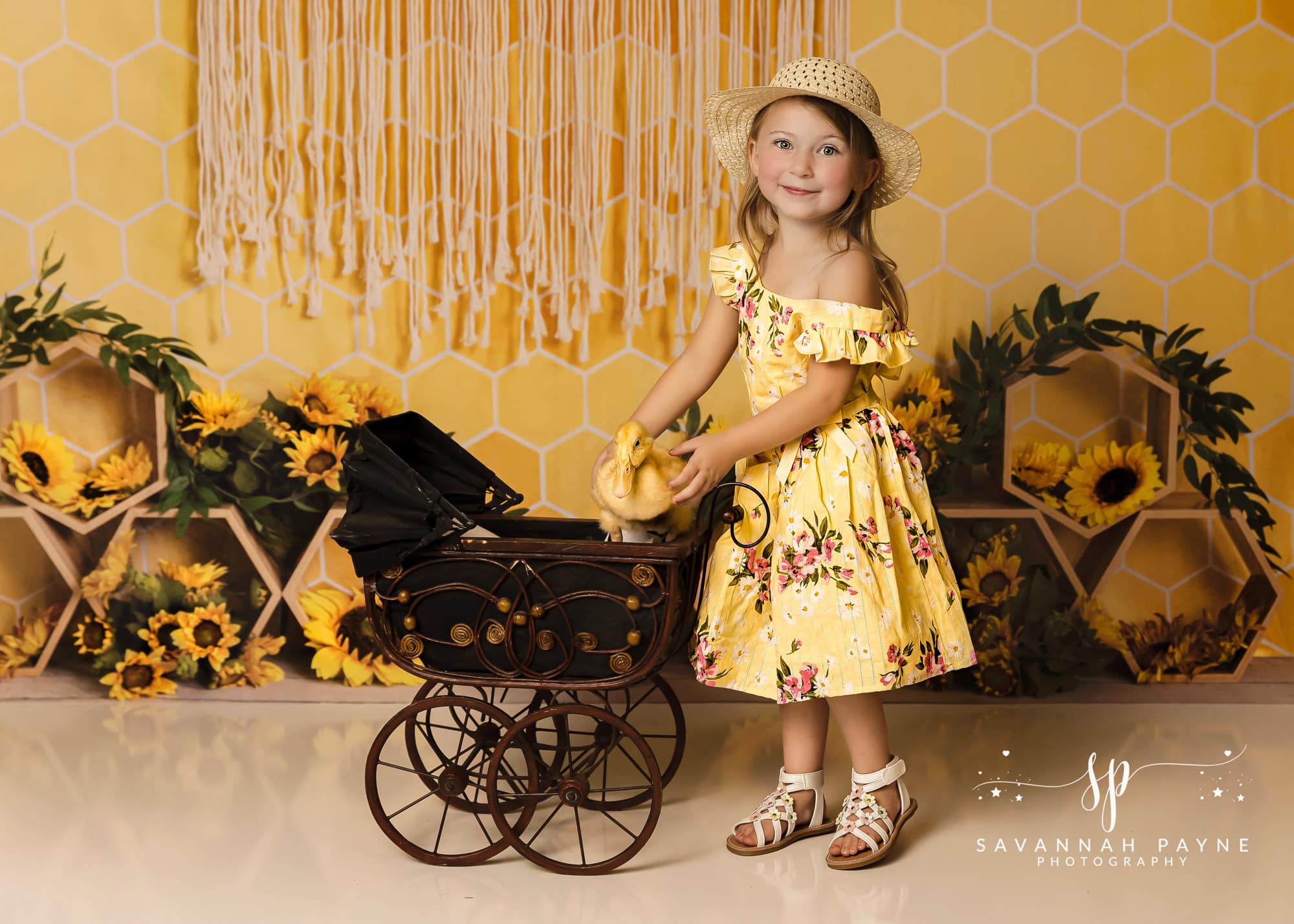 Kate Honeycomb Yellow Boho Cake Smash Backdrop Designed by Emetselch -UK