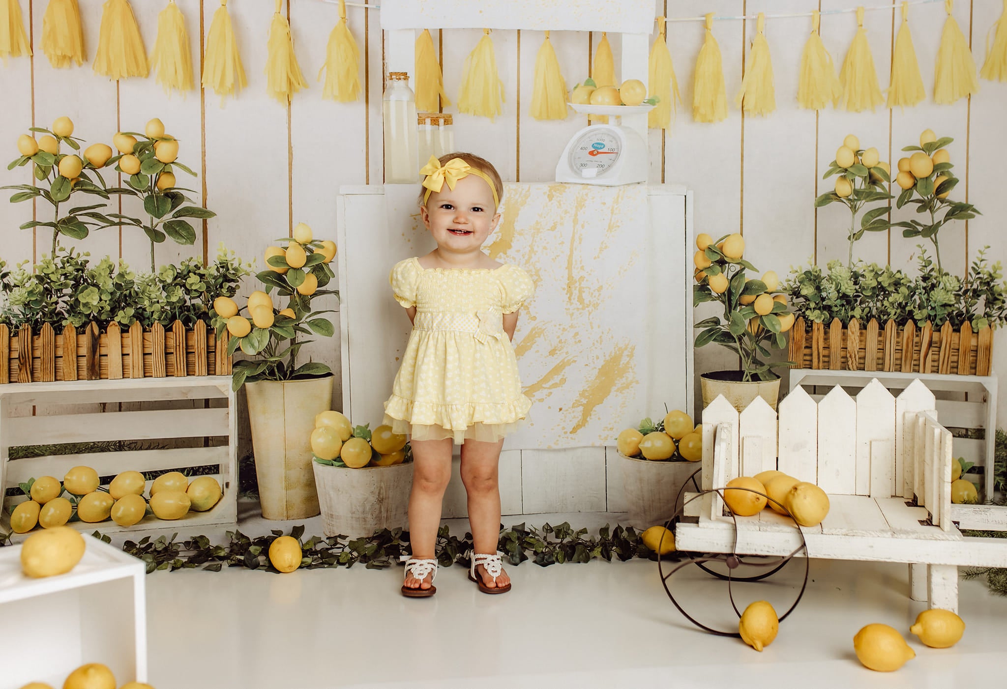 Kate Summer Lemon Store Backdrop Designed by Jia Chan Photography -UK