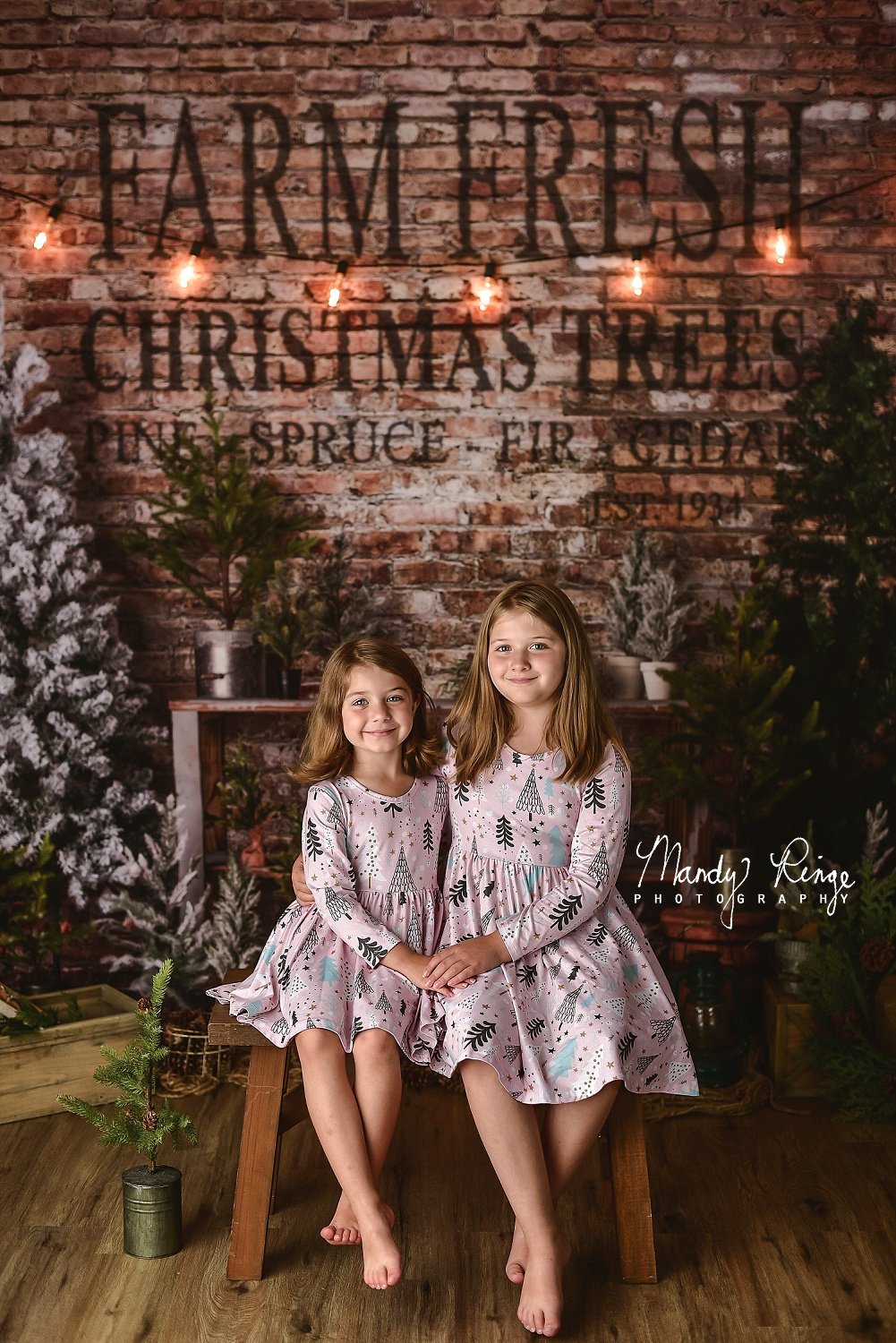 Kate Christmas Farm Fresh Tree Backdrop Designed by Mandy Ringe Photography -UK