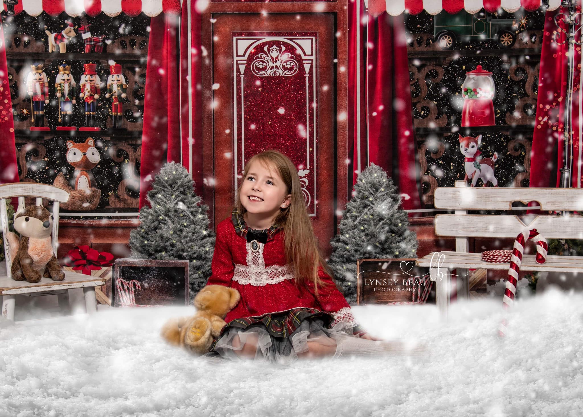 Kate Christmas Winter Candy Vintage Backdrop Designed by Mini MakeBelieve -UK