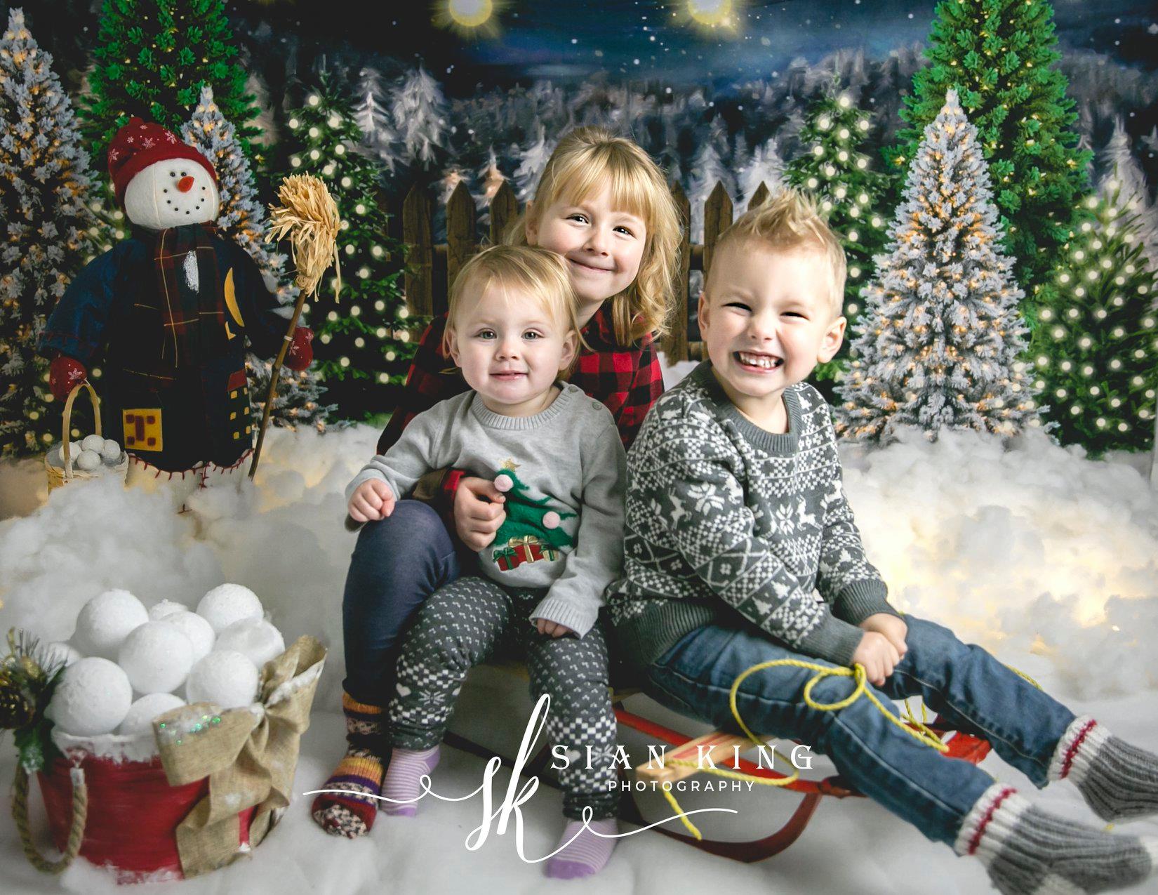 Kate Christmas Night Pine Trees Farm Winter Backdrop Designed By Jerry_Sina -UK