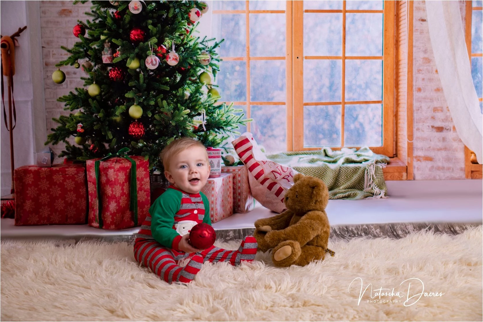 Kate Christmas Gifts Room Decoration Window View Backdrop -UK