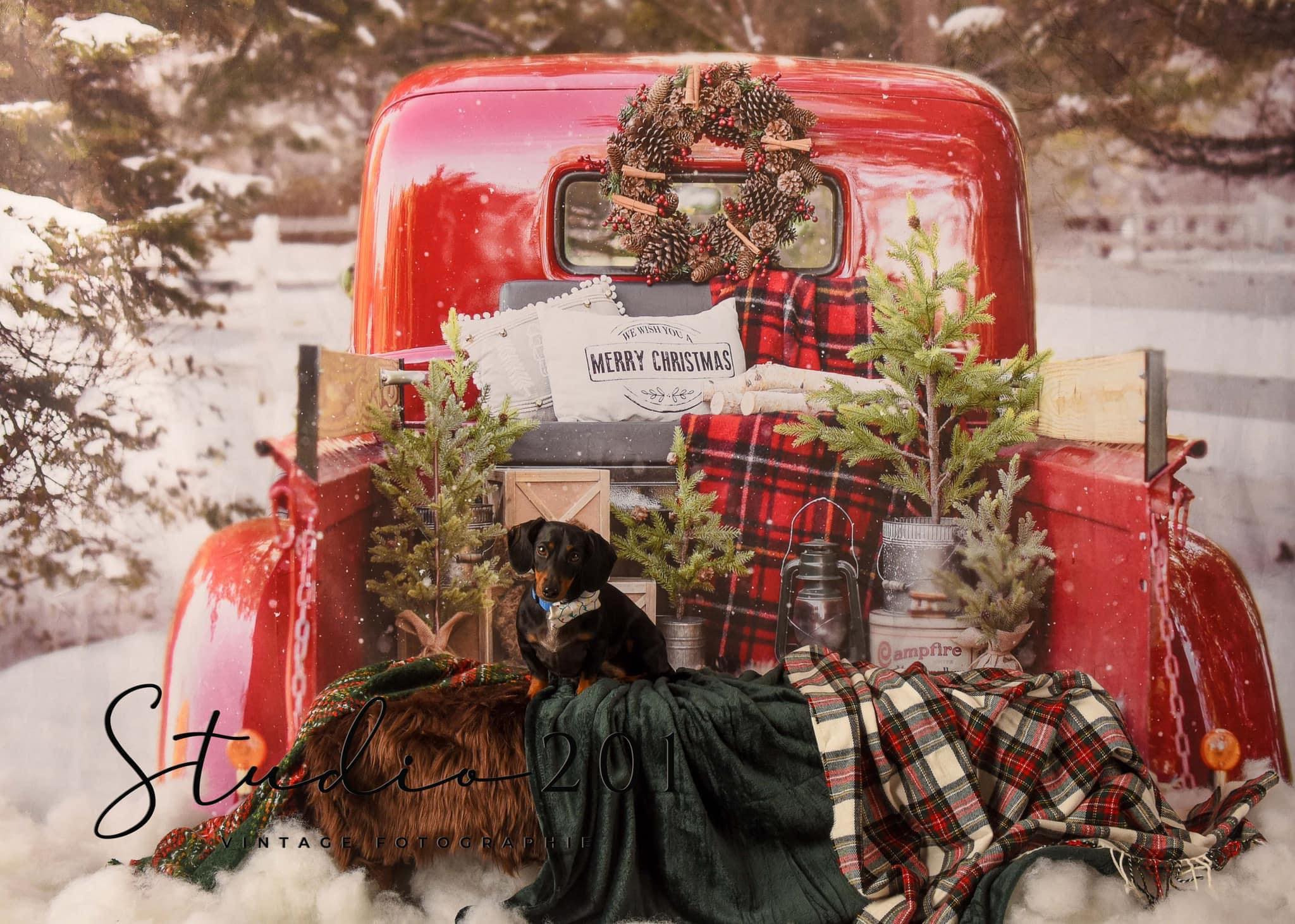 Kate Red Christmas Truck in Snow Backdrop Designed by Mandy Ringe Photography -UK
