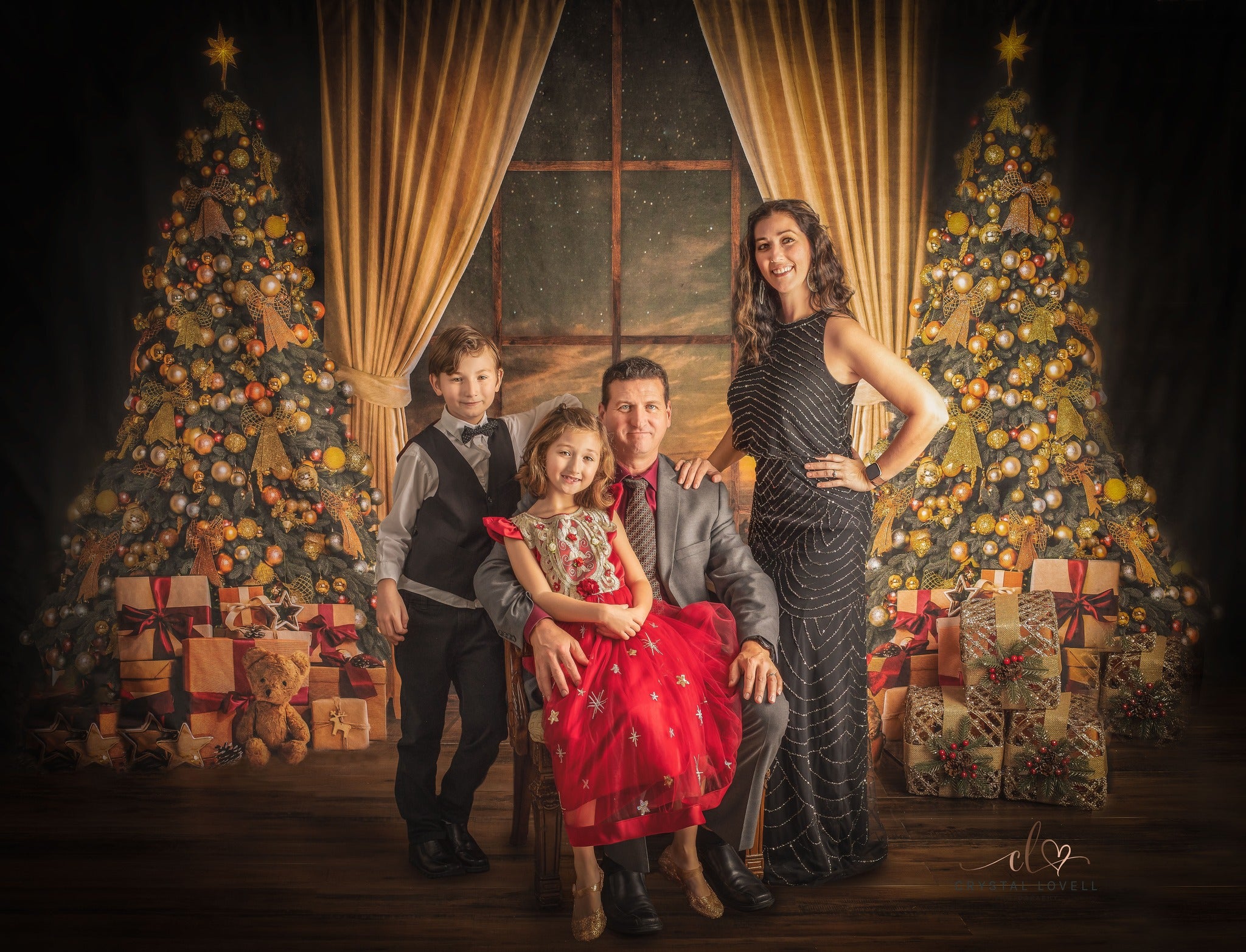 Kate Warm Christmas Trees Window Backdrop for Photography -UK