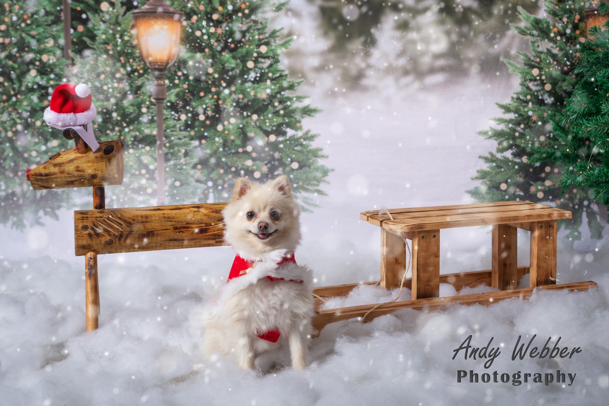 Kate Christmas Snow Forest Lights Backdrop for Photography