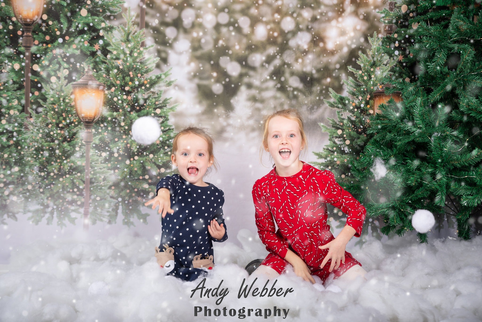 Kate Christmas Snow Forest Lights Backdrop for Photography -UK