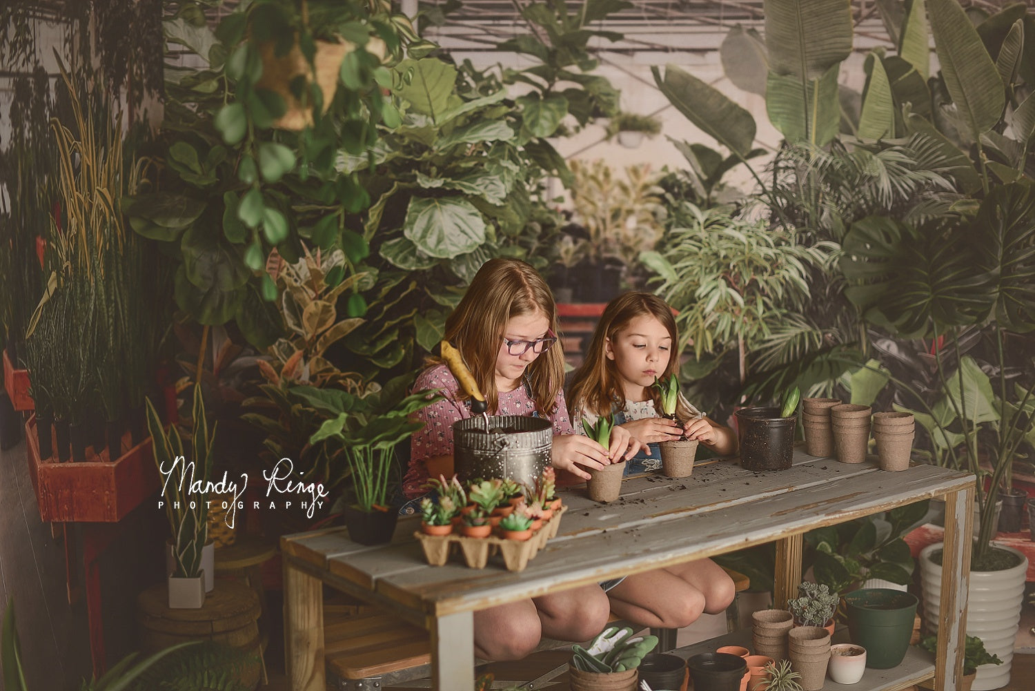 Kate Spring Tropical Greenhouse Interior Backdrop Designed by Mandy Ringe Photography -UK