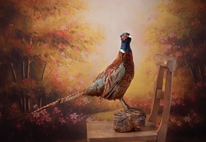 Kate Abstract Vintage Backdrop Retro Oil Painting for Photography - Kate backdrops UK