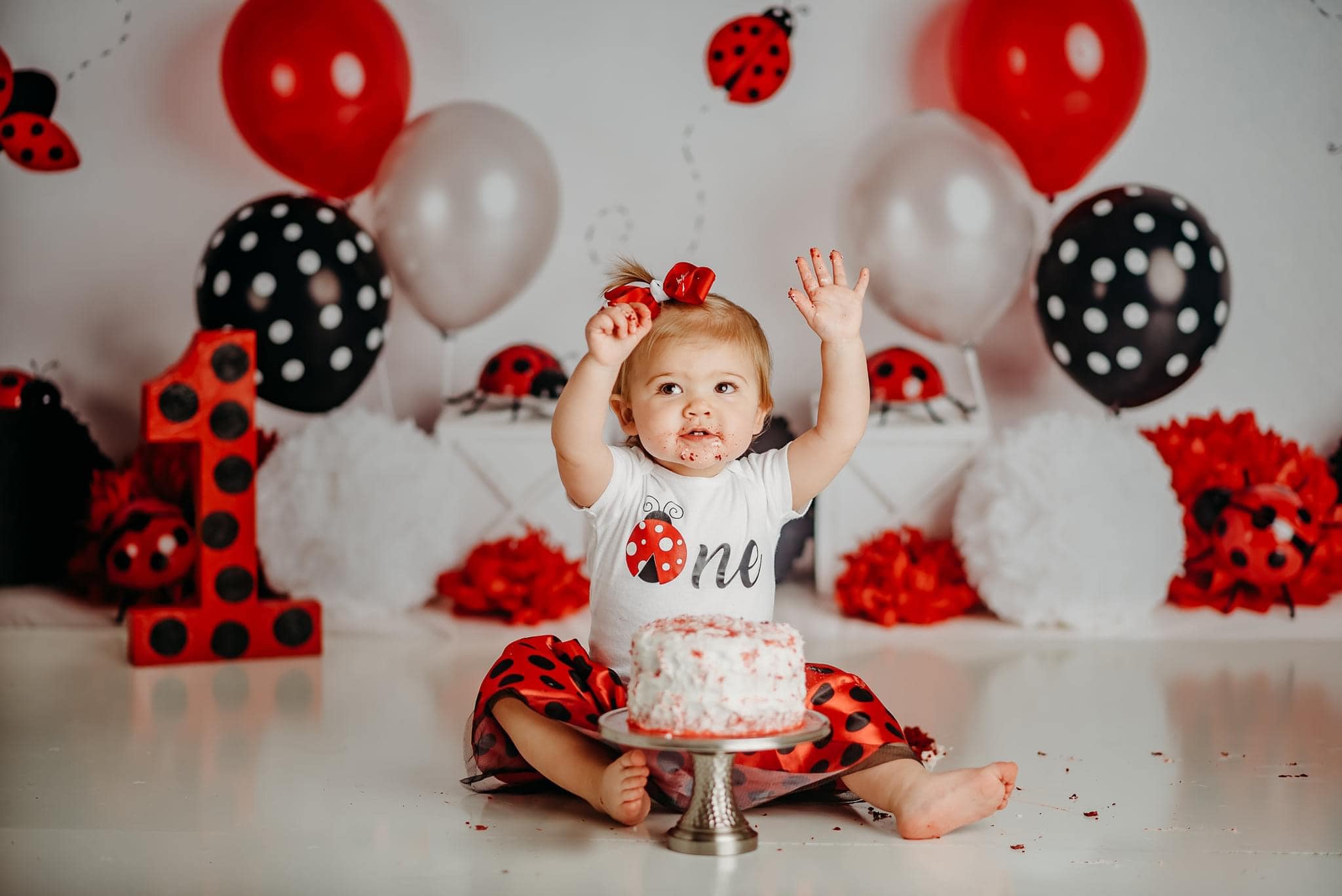 Kate Little Lady Bug Birthday Children Backdrop Designed By Mandy Ringe Photography -UK