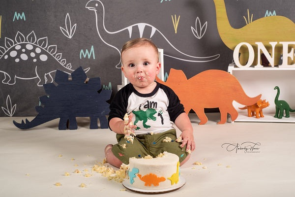 Kate Gray White Small Dinosaur Backdrop Designed by Amanda Moffatt -UK