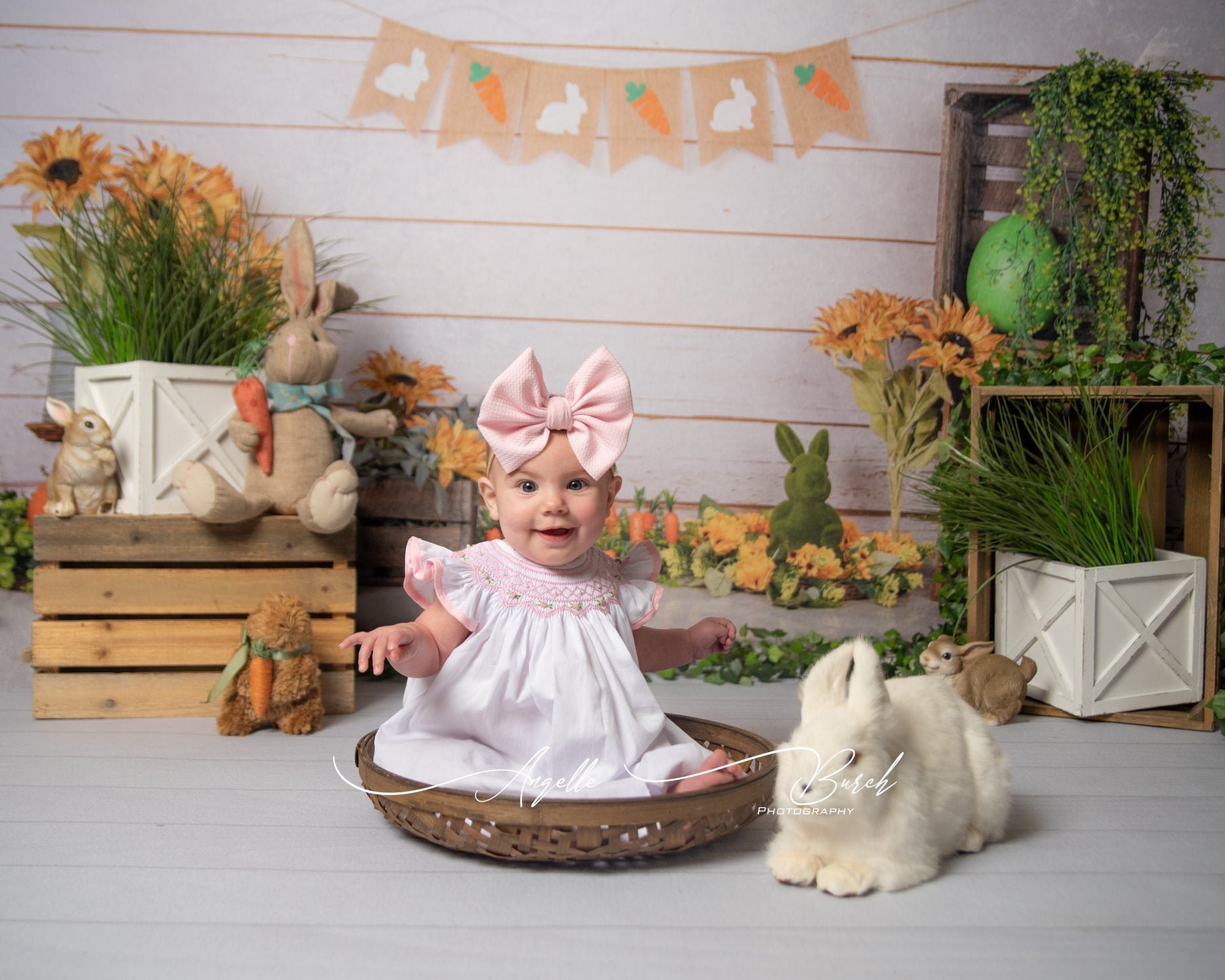 Kate Easter/Spring Sunflowers Carrots Rabbit Wood Wall Backdrop Designed by Jia Chan Photography -UK