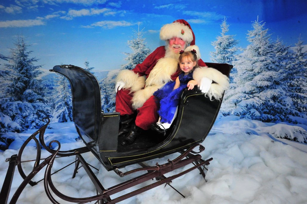 Kate Winter Frozen Forest Backdrops For Photography -UK