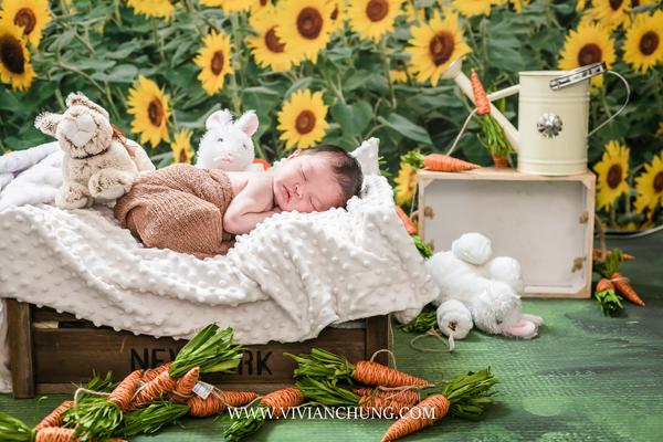 Kate Sunflower Field Backdrop for Summer Photography -UK