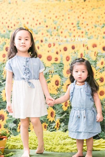 Kate Sunflower Field Backdrop for Summer Photography -UK