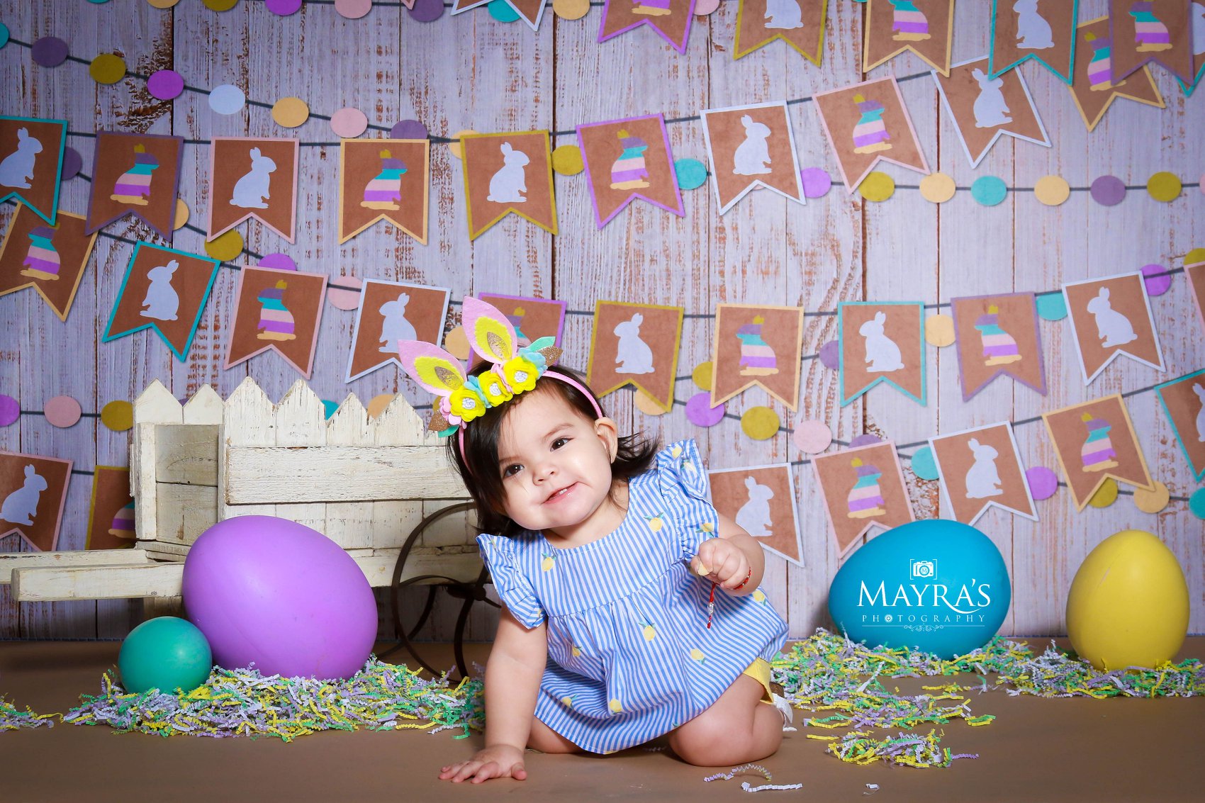 Kate Easter Wood with Rabbit Decoration Backdrop for Photography designed by Jerry_Sina -UK