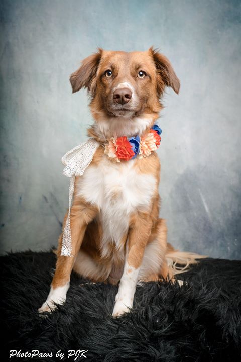 Kate Gray-Blue Abstract Texture Backdrop Photos for Portrait Photography -UK