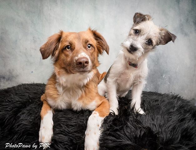 Kate Gray-Blue Abstract Texture Backdrop Photos for Portrait Photography -UK