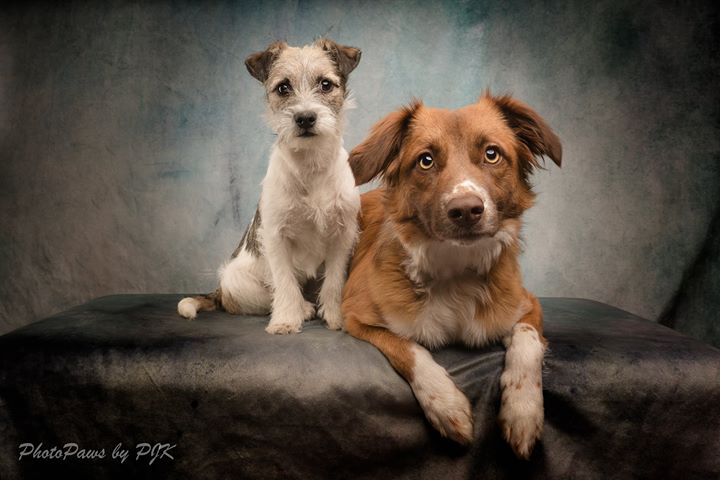 Kate Gray-Blue Abstract Texture Backdrop Photos for Portrait Photography -UK