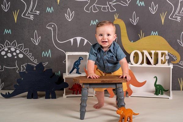 Kate Gray White Small Dinosaur Backdrop Designed by Amanda Moffatt -UK