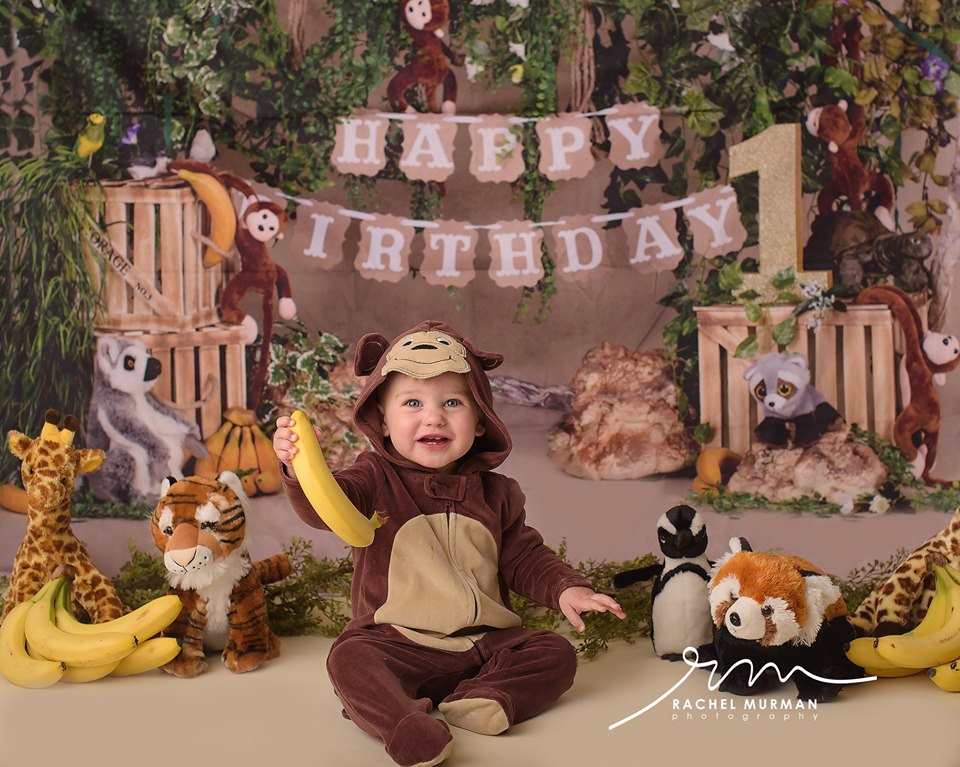 Kate Jungle cartoon zoo animals Summer backdrop 1st cake smash designed by studio gumot -UK