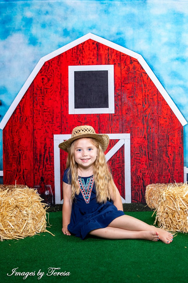 Kate Barnyard Fun Children Summer Backdrops Designed by Arica Kirby -UK