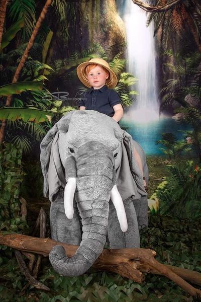 Kate Green Forest Waterfall Backdrops for Photography -UK