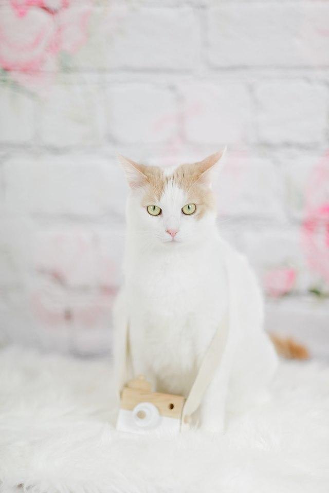 Kate Valentine Flower Brick Backdrop for Photography -UK