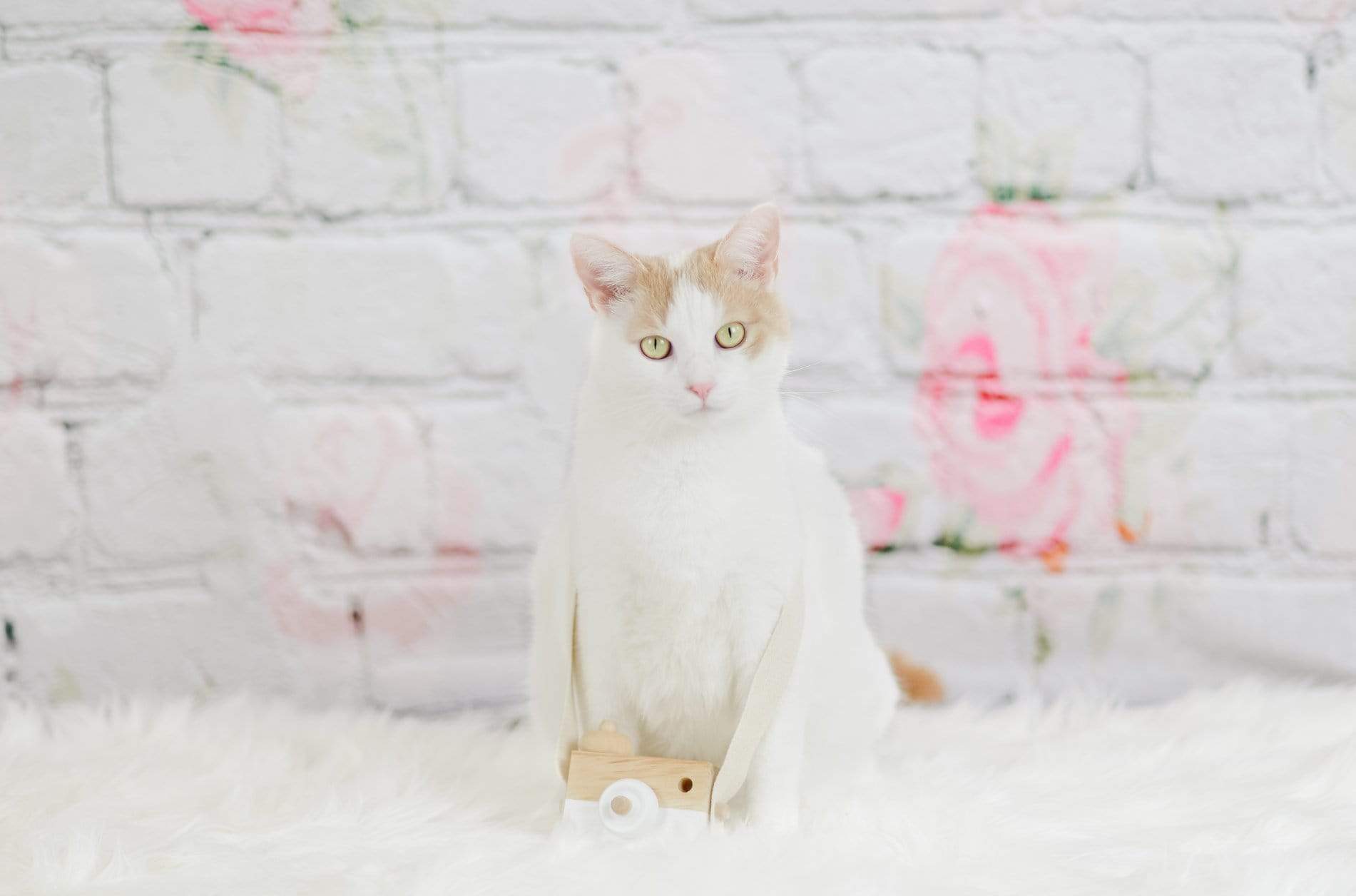 Kate Valentine Flower Brick Backdrop for Photography -UK