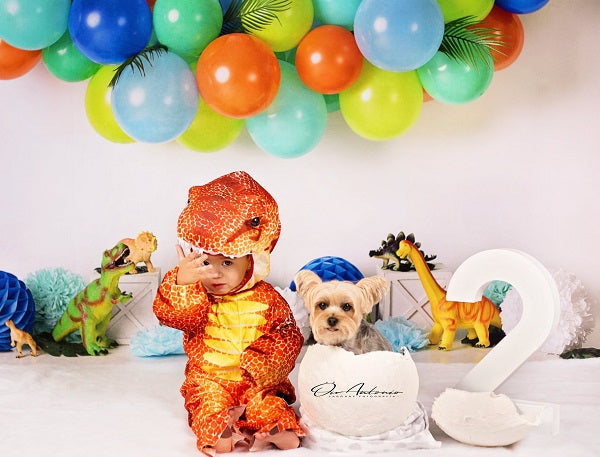 Kate Dinosaur Birthday Balloons Backdrop Designed By Mandy Ringe Photography -UK