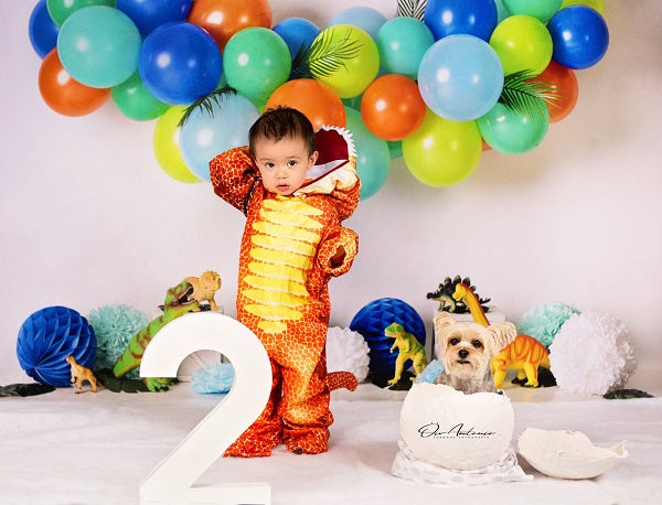 Kate Dinosaur Birthday Balloons Backdrop Designed By Mandy Ringe Photography -UK