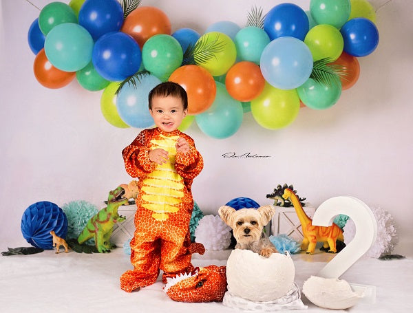 Kate Dinosaur Birthday Balloons Backdrop Designed By Mandy Ringe Photography -UK