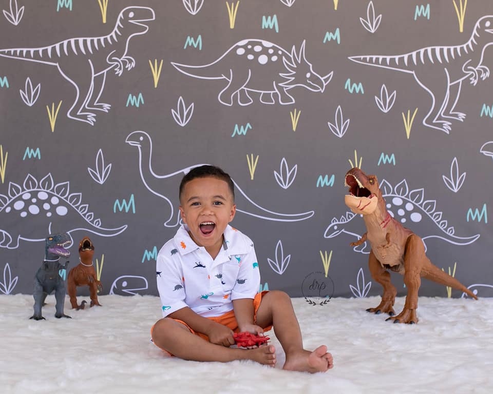 Kate Gray White Small Dinosaur Backdrop Designed by Amanda Moffatt -UK