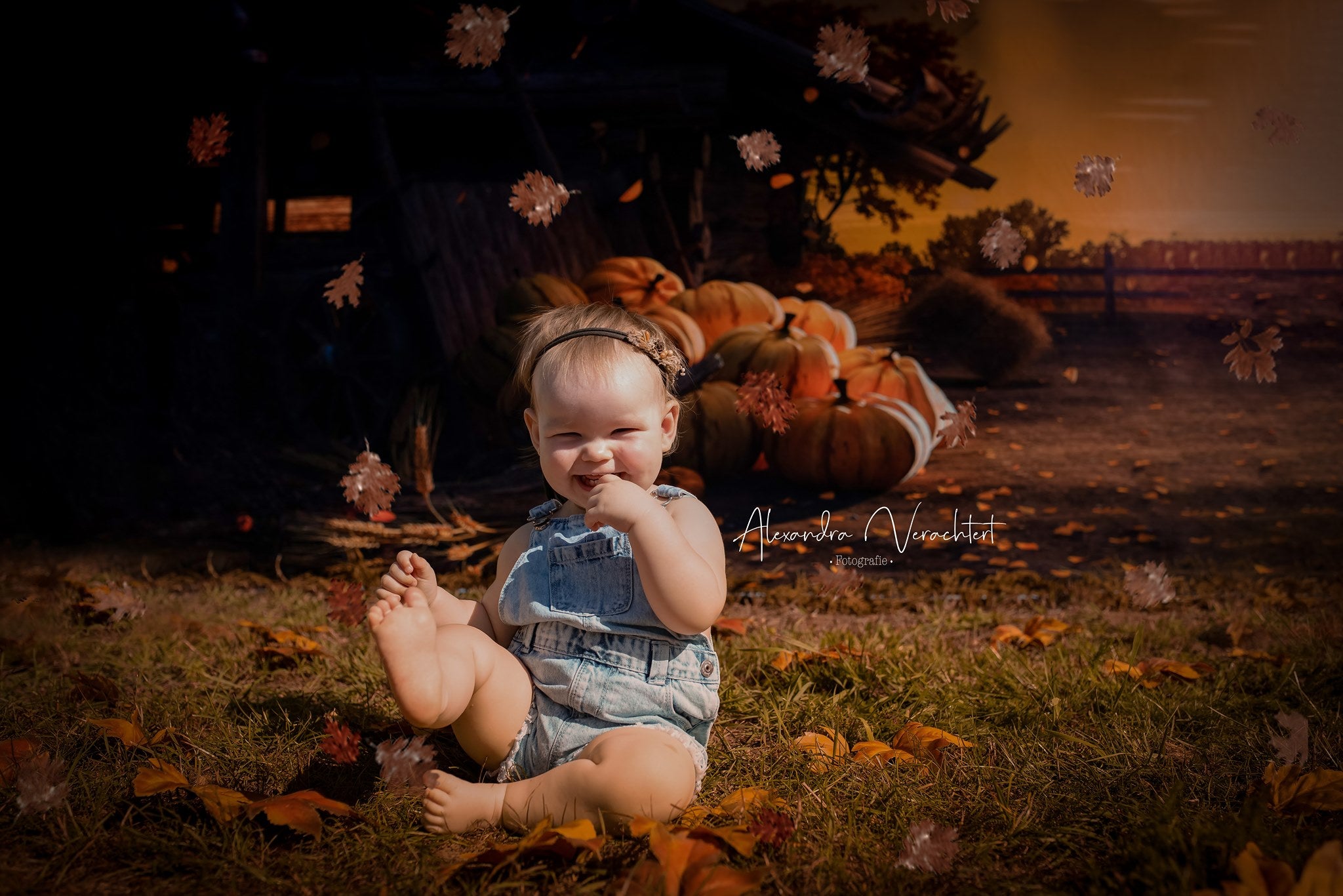 Kate Autumn Harvest Pumpkins Sunset Fallen Leaves Backdrop for Photography -UK