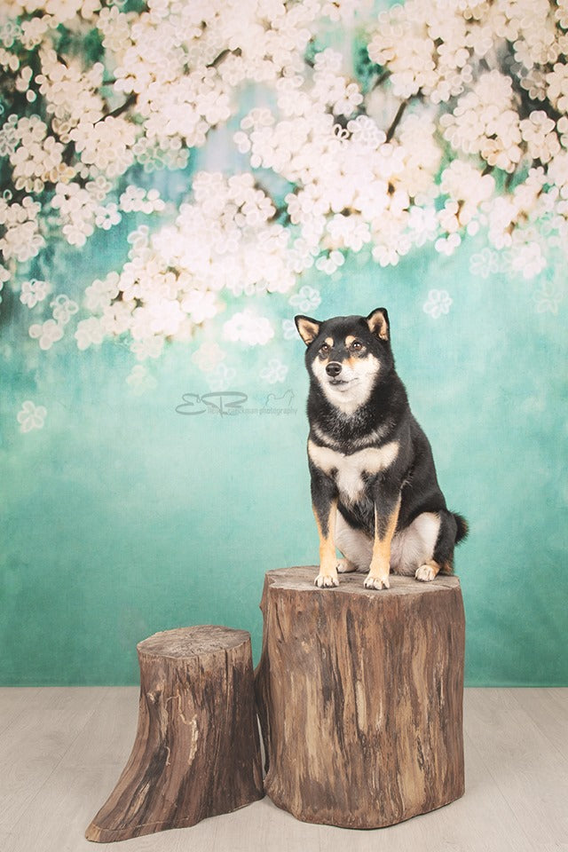 Kate Retro Green Background With Pink Flowers Backdrops for Children -UK