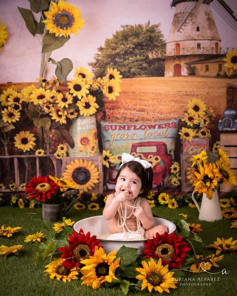 Kate Summer Sunflower Autumn Farm Field Backdrop -UK
