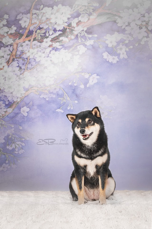 Kate Purple Backdrop Flower Photography Background -UK