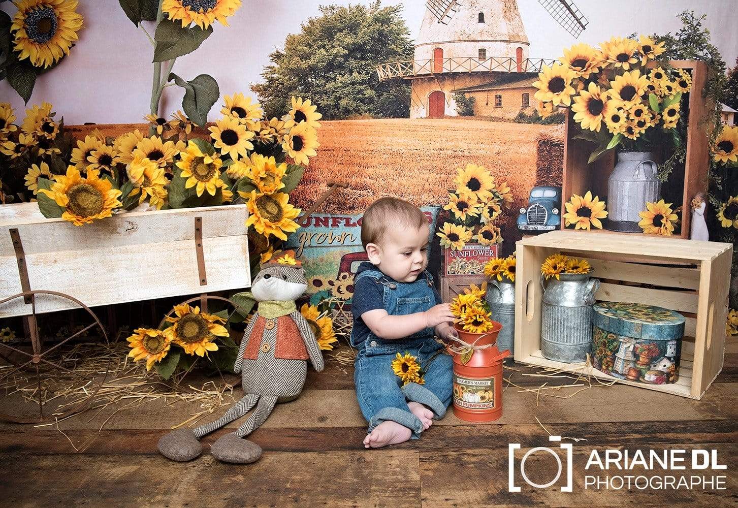 Kate Summer Sunflower Autumn Farm Field Backdrop -UK