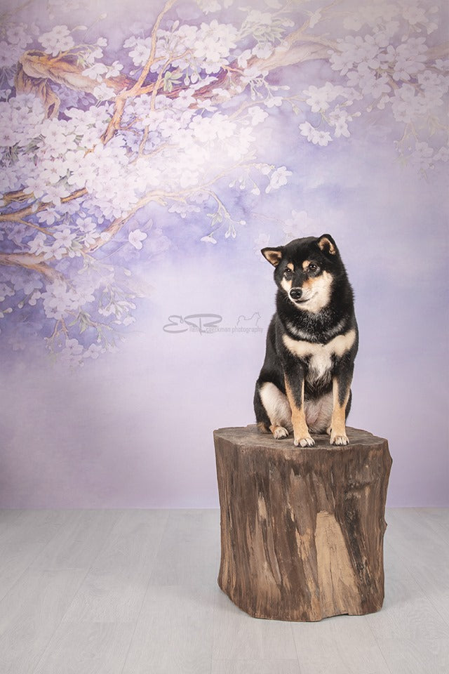 Kate Purple Backdrop Flower Photography Background -UK