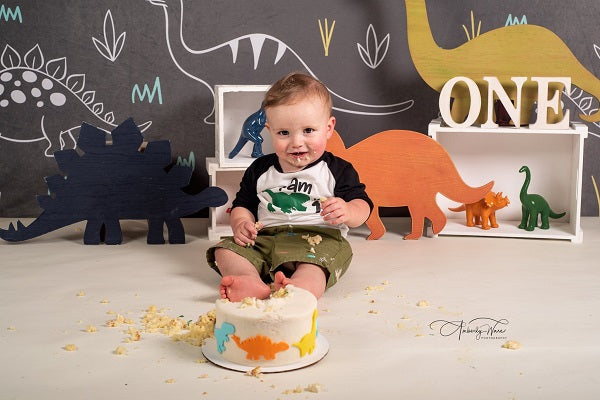 Kate Gray White Small Dinosaur Backdrop Designed by Amanda Moffatt -UK