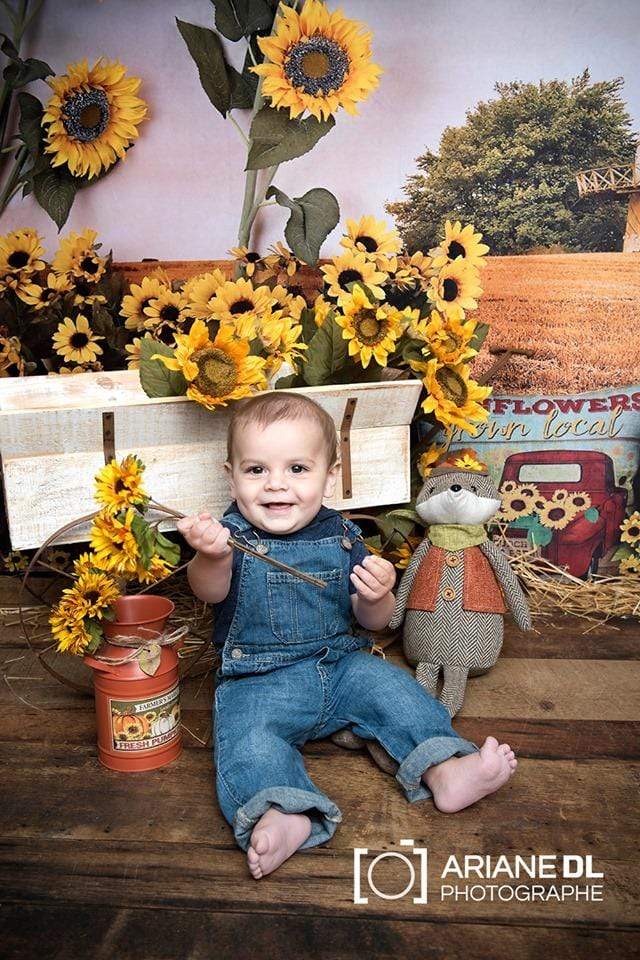 Kate Summer Sunflower Autumn Farm Field Backdrop -UK