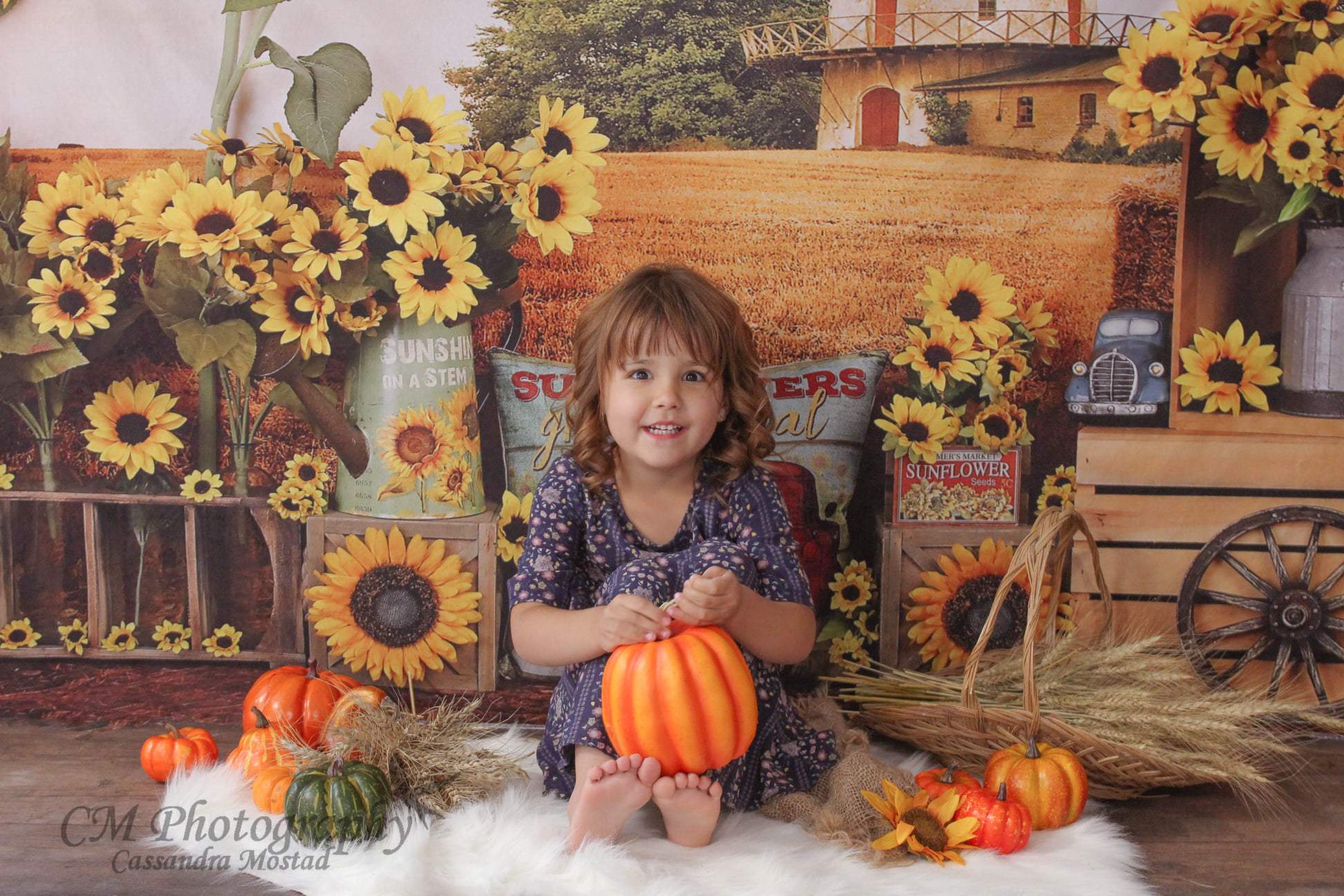 Kate Summer Sunflower Autumn Farm Field Backdrop -UK