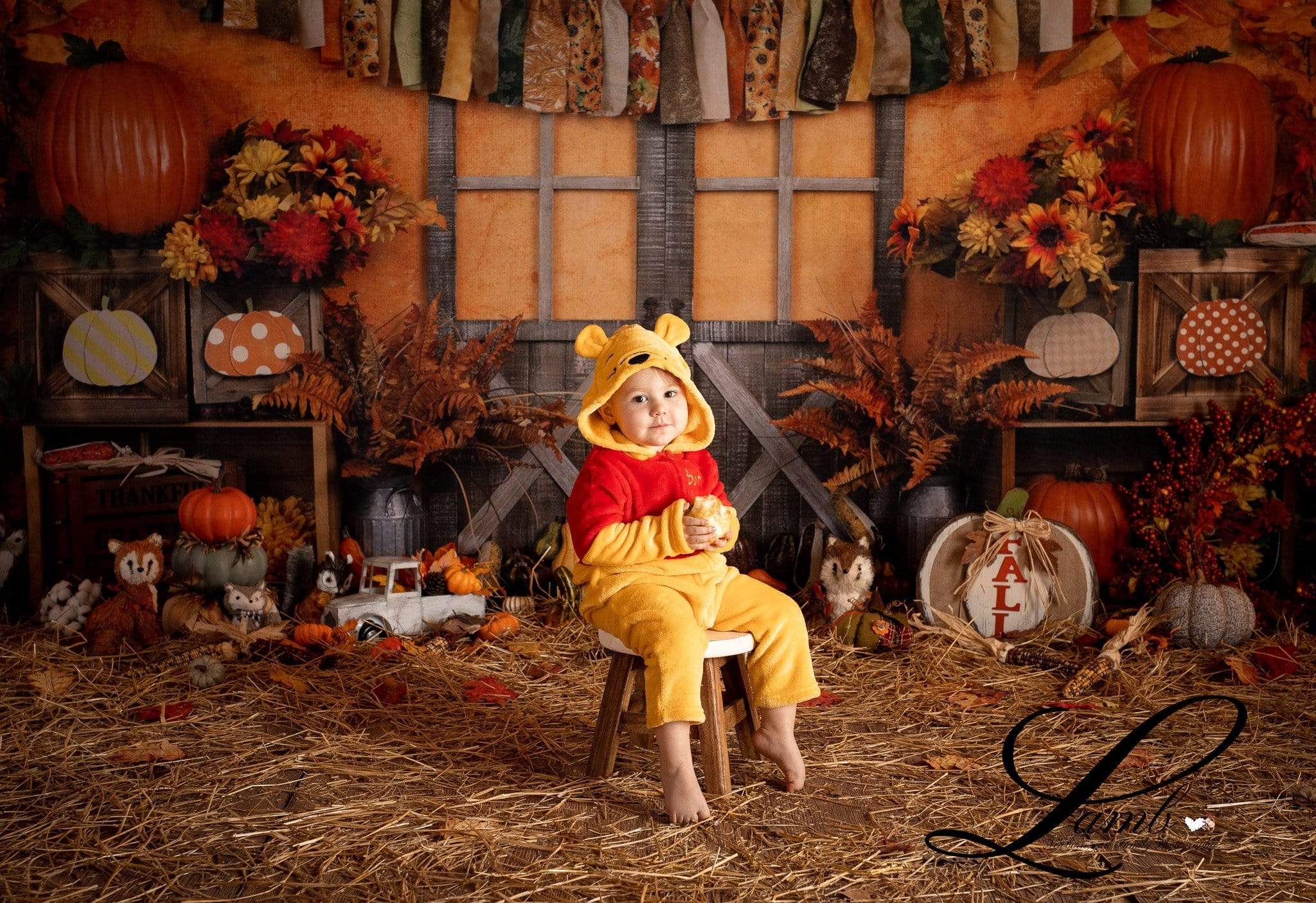 Kate Autumn Harvest Thanksgiving Backdrop -UK