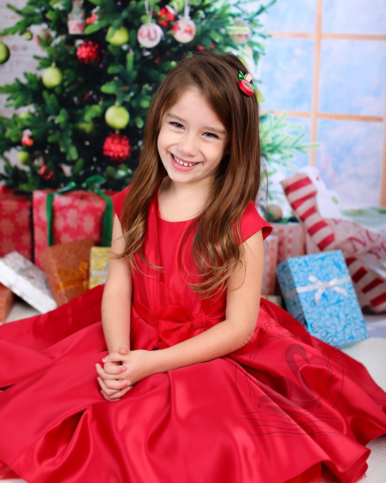 Kate Christmas Gifts Room Decoration Window View Backdrop -UK