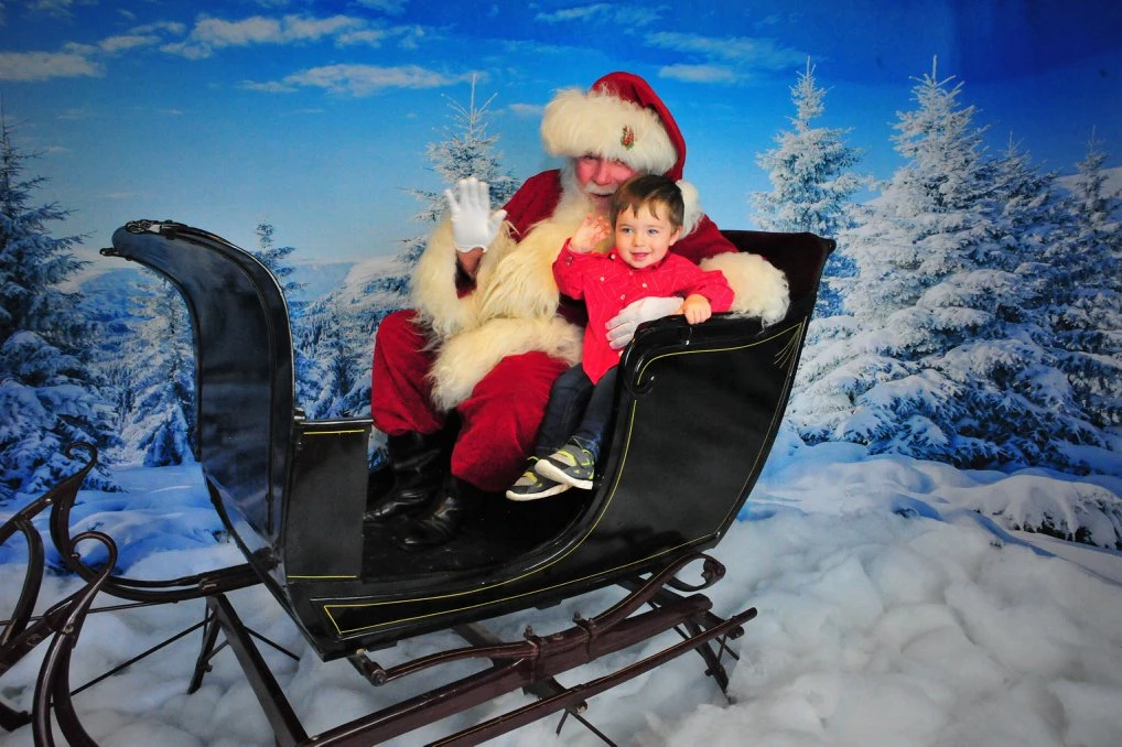 Kate Winter Frozen Forest Backdrops For Photography -UK